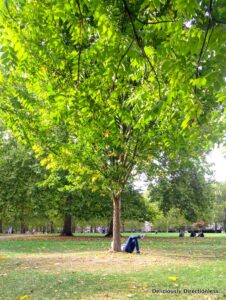 Hyde Park London