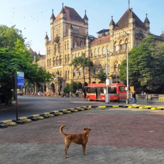 Kala Ghoda Mumbai