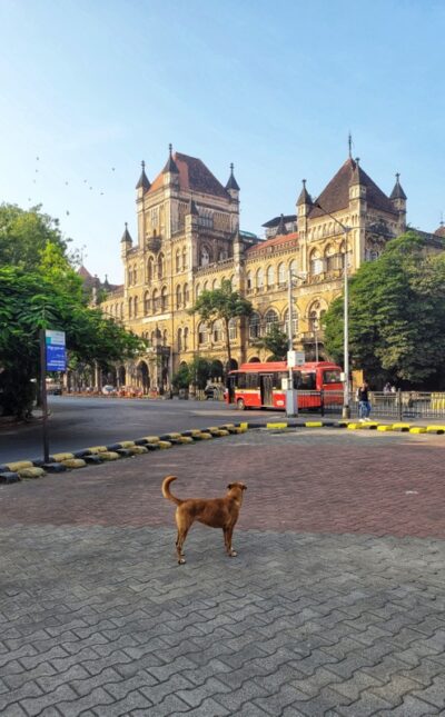 Kala Ghoda Mumbai