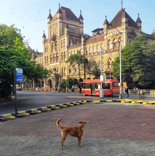 Kala Ghoda Mumbai