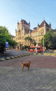 Kala Ghoda Mumbai 