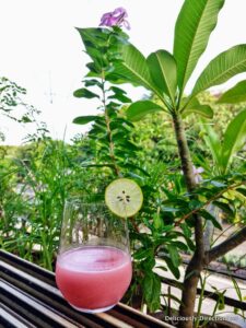 Pomegranate Gimlet