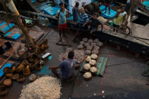Sassoon Docks